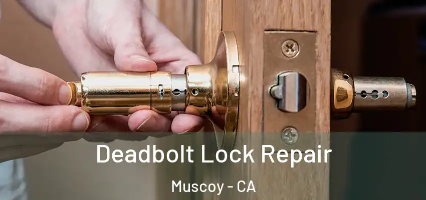 Deadbolt Lock Repair Muscoy - CA