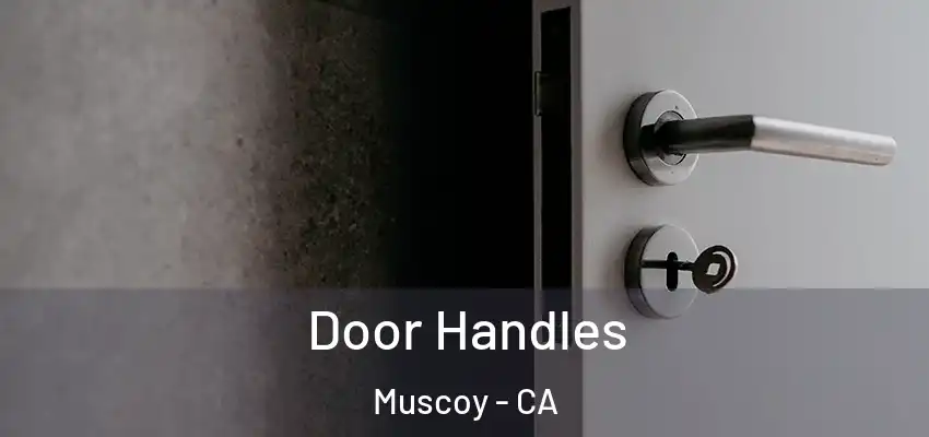 Door Handles Muscoy - CA
