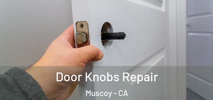  Door Knobs Repair Muscoy - CA