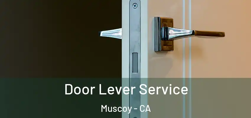 Door Lever Service Muscoy - CA