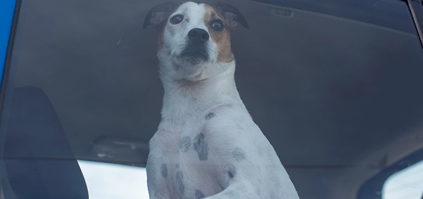 Car Lockout Solutions in Muscoy, California