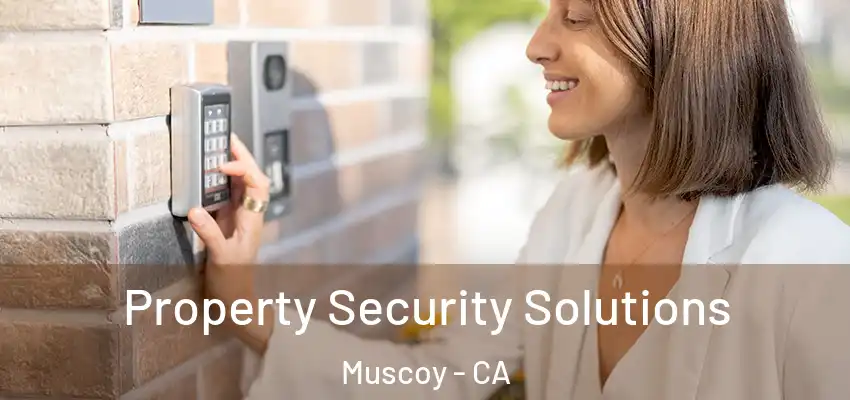 Property Security Solutions Muscoy - CA